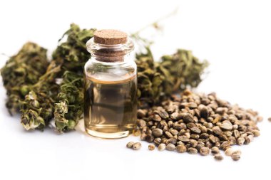 Yağ ile tıbbi esrar