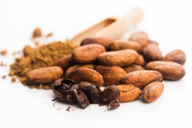 Kakao fasulyesi ve kakao tozu.