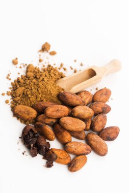 Kakao fasulyesi ve kakao tozu.