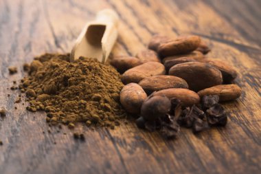 Kakao fasulyesi ve kakao tozu.