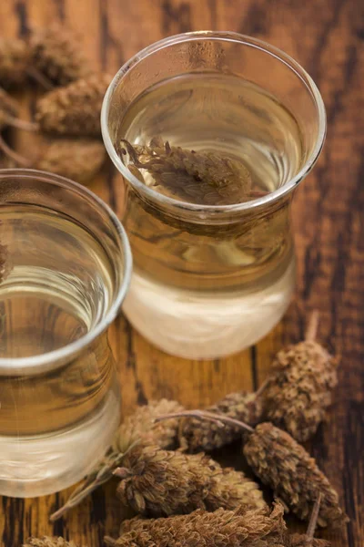 Glas Vilda Lavendel Och Lavendel Blommor — Stockfoto