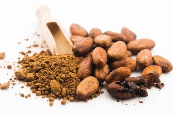 Fagioli Cacao Cacao Polvere Cucchiaio — Foto Stock