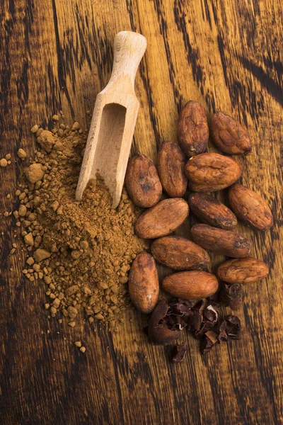 Fèves Cacao Poudre Cacao Dans Cuillère — Photo