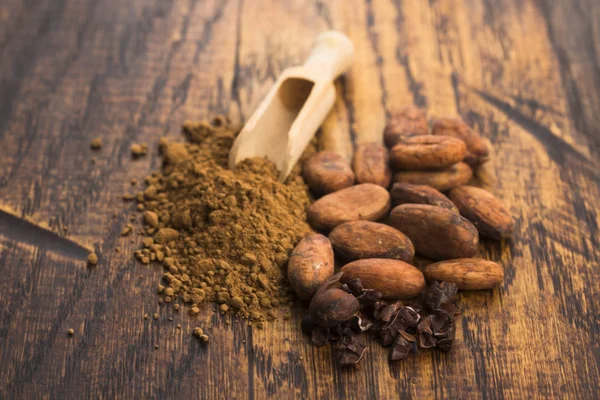 Fagioli Cacao Cacao Polvere Cucchiaio — Foto Stock
