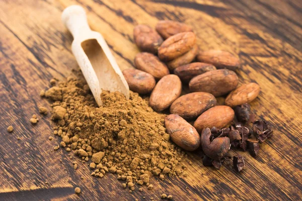 Fèves Cacao Poudre Cacao Dans Cuillère — Photo