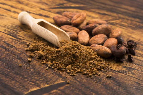 cacao beans and cacao powder in spoon