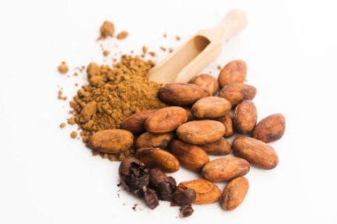 Kakao fasulyesi ve kakao tozu.