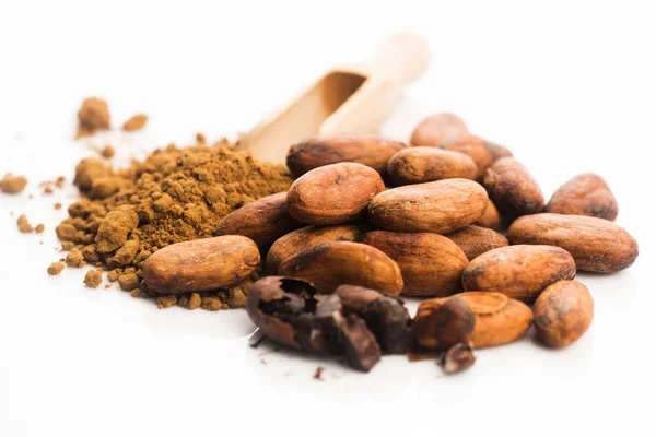 Cacao Beans Cacao Powder Spoon — Stock Photo, Image