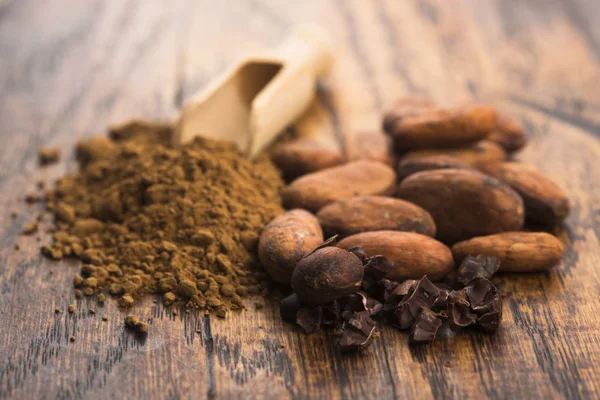 Granos Cacao Polvo Cacao Cuchara — Foto de Stock