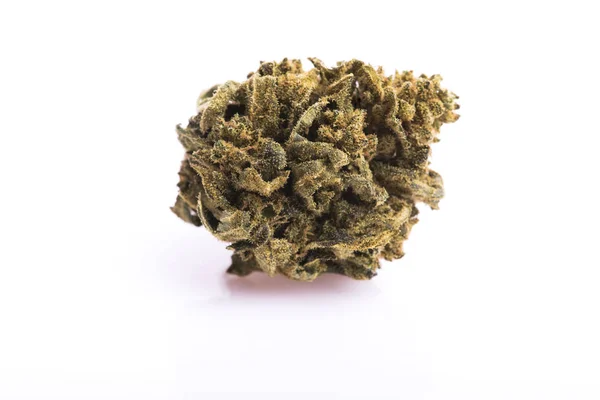 Beyaz arka planda kuru marihuana tomurcuk — Stok fotoğraf