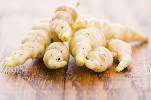 Crosne japonés Stachys affinis tubérculos rizoma raíz vegetal cl Imagen de stock