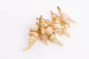 Japon Crosne Stachys affinis tubers rhizome kök sebze cl