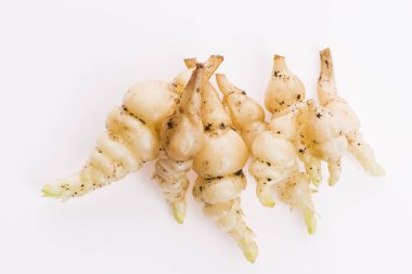 Japon Crosne Stachys affinis tubers rhizome kök sebze cl