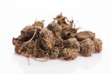 Kaplan fındığı Lezzetli chufa fındıkları. Sağlıklı süper yiyecekler 