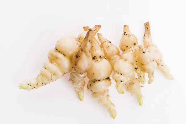 Japanese crosne Stachys affinis tubers rhizome root vegetable cl — Stock Photo, Image