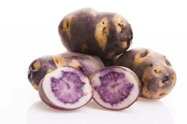 Weiß - violette Kartoffel auf weißem Hintergrund. Bio-Pflanze — Stockfoto