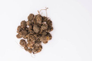 Kaplan fındığı Lezzetli chufa fındıkları. Sağlıklı süper yiyecekler 