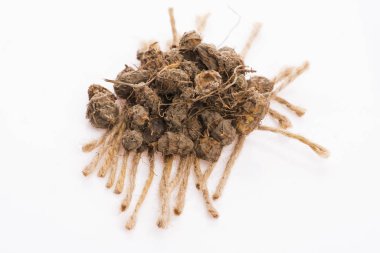 Kaplan fındığı Lezzetli chufa fındıkları. Sağlıklı süper yiyecekler 