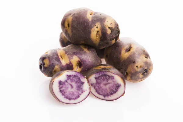 Branco - batata violeta em um contexto branco. Planta orgânica — Fotografia de Stock