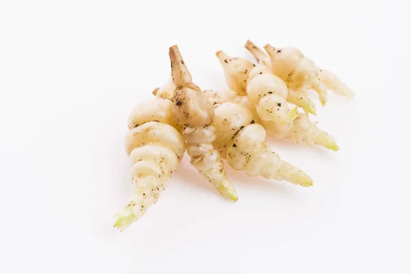 Crosne giapponese Stachys affinis tubers rizoma radice vegetale cl — Foto Stock