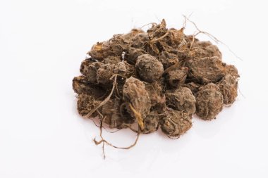 Kaplan fındığı Lezzetli chufa fındıkları. Sağlıklı süper yiyecekler 