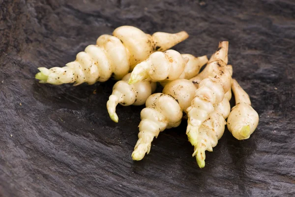 Japonês crosne Stachys affinis tubérculos rizoma raiz vegetal cl — Fotografia de Stock