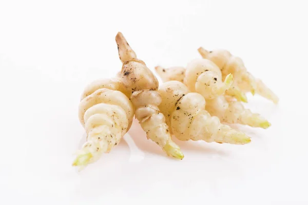Japonská crosne Stachys afinis hlízy rhizome kořen zelenina cl — Stock fotografie
