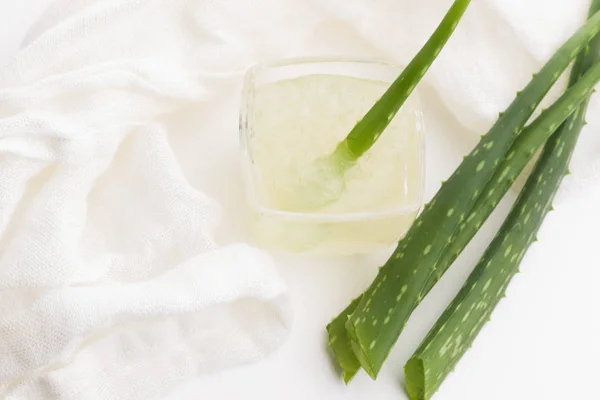 Artículos de vidrio con jugo de aloe vera fresco y hojas Fotos de stock libres de derechos