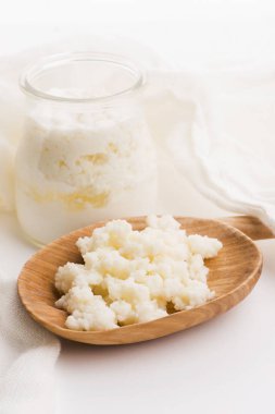 Kaşık içinde sütlü kefir taneleri. Maya bakteriyel fermantasyon başlatıcı