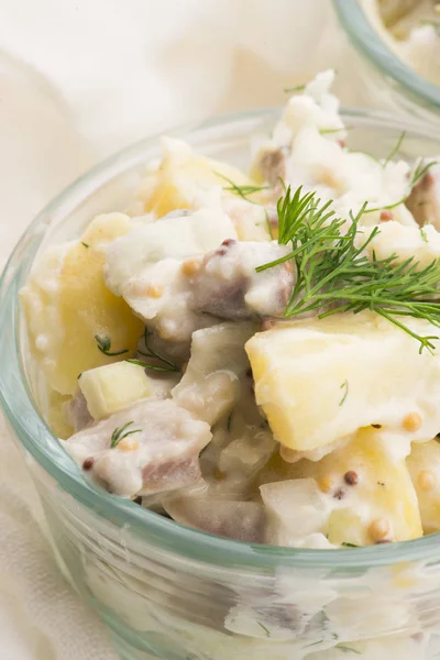 Salad rasols made of herring, cucumber and potato, dressed with — Stock Photo, Image