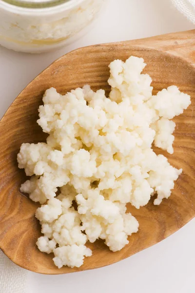 Milk kefir grains in spoon. Yeast bacterial fermentation starter — Stock Photo, Image