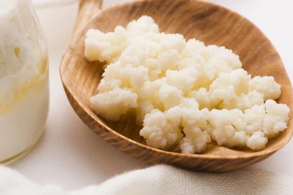 Grains de kéfir de lait dans la cuillère. Démarreur de fermentation bactérienne de levure — Photo