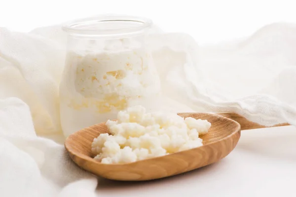 Grani di kefir di latte in cucchiaio. Lievito antipasto fermentazione batterica — Foto Stock