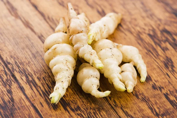 Japanese crosne stachys affinis tubers Rhizome root veplant CL — 스톡 사진