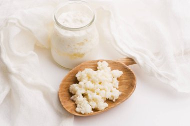 Kaşık içinde sütlü kefir taneleri. Maya bakteriyel fermantasyon başlatıcı