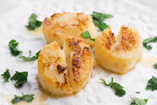 Close up of pan seared sea scallops — Stock Photo, Image