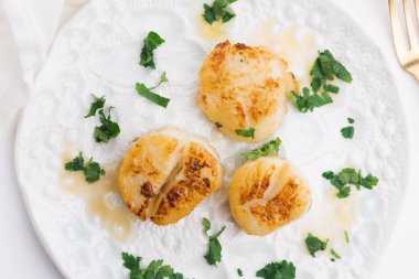 pan katılaşmış deniz tarağı yakın çekim