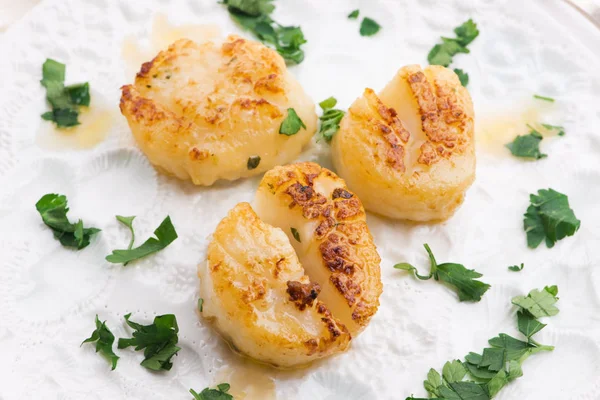 Close up of pan seared sea scallops — Stock Photo, Image