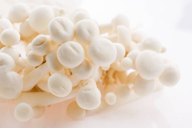 Beyaz kayın mantarı, Shimeji mantarı.