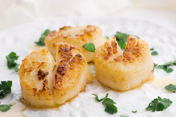 Close up of pan seared sea scallops — Stock Photo, Image