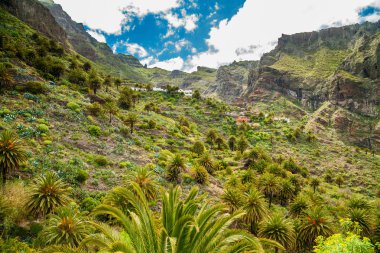 Masca Vadisi ile lots-in palmiye ağaçları