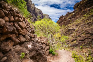 Masca güzel kanyonda yürüyüş yolu