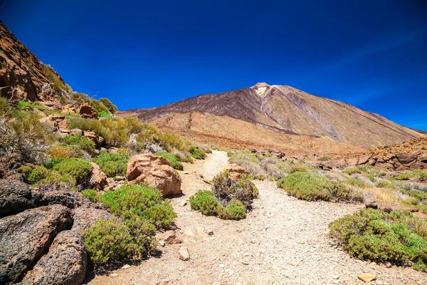 Walking trail at the mount Teide National Park — Stock Photo, Image