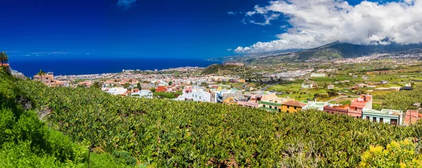 Panoramic view of Puerto De La Cruz valley — Stockfoto