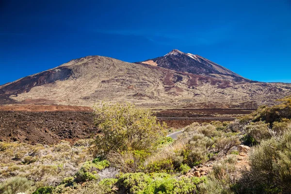 Nationaal park El Teide — Stockfoto