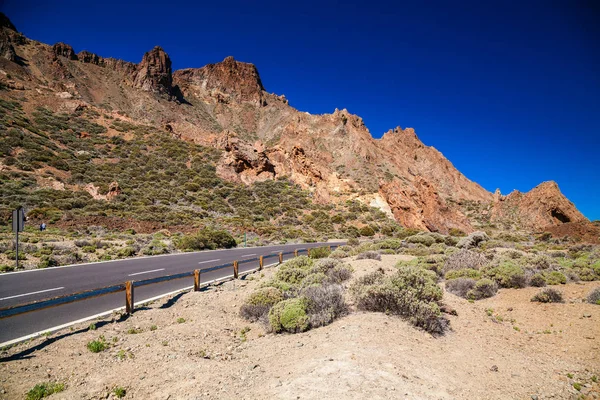 In the Teide National park — Stock Photo, Image