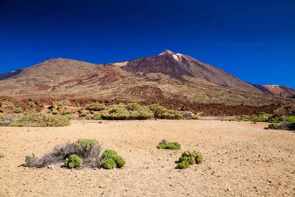 Las Canadas National park with mount Teide — Stock Photo, Image