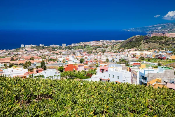 Puerto de la Cruz valley — Stockfoto