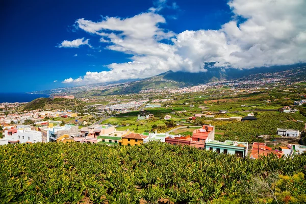 Vale de Puerto de la Cruz com plantações de banana e agricultura — Fotografia de Stock