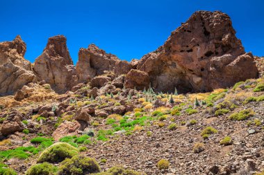 büyük kayalara adlı Teide Milli Parkı
